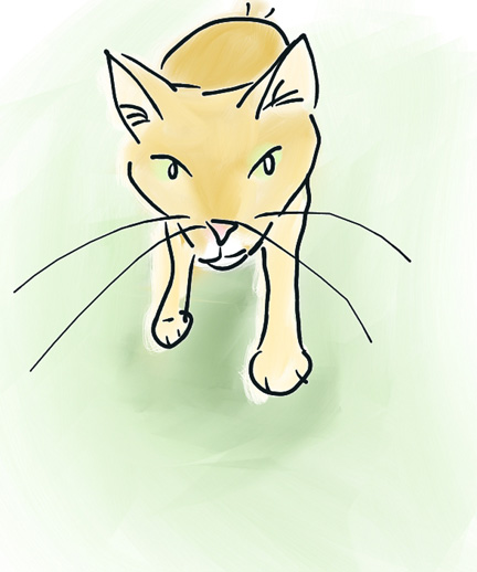 catface