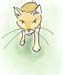 catface