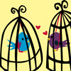 36JasnekoAlmost-BirdcageLove