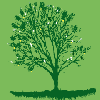 JasnekoTreeofLife